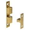 F0133-892 loqueteau a billes laiton sat.