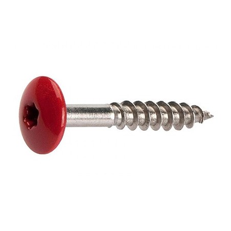 Vis cedral pann façade coloré torx 4.8X38