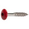 Vis cedral pann façade coloré torx 4.8X38